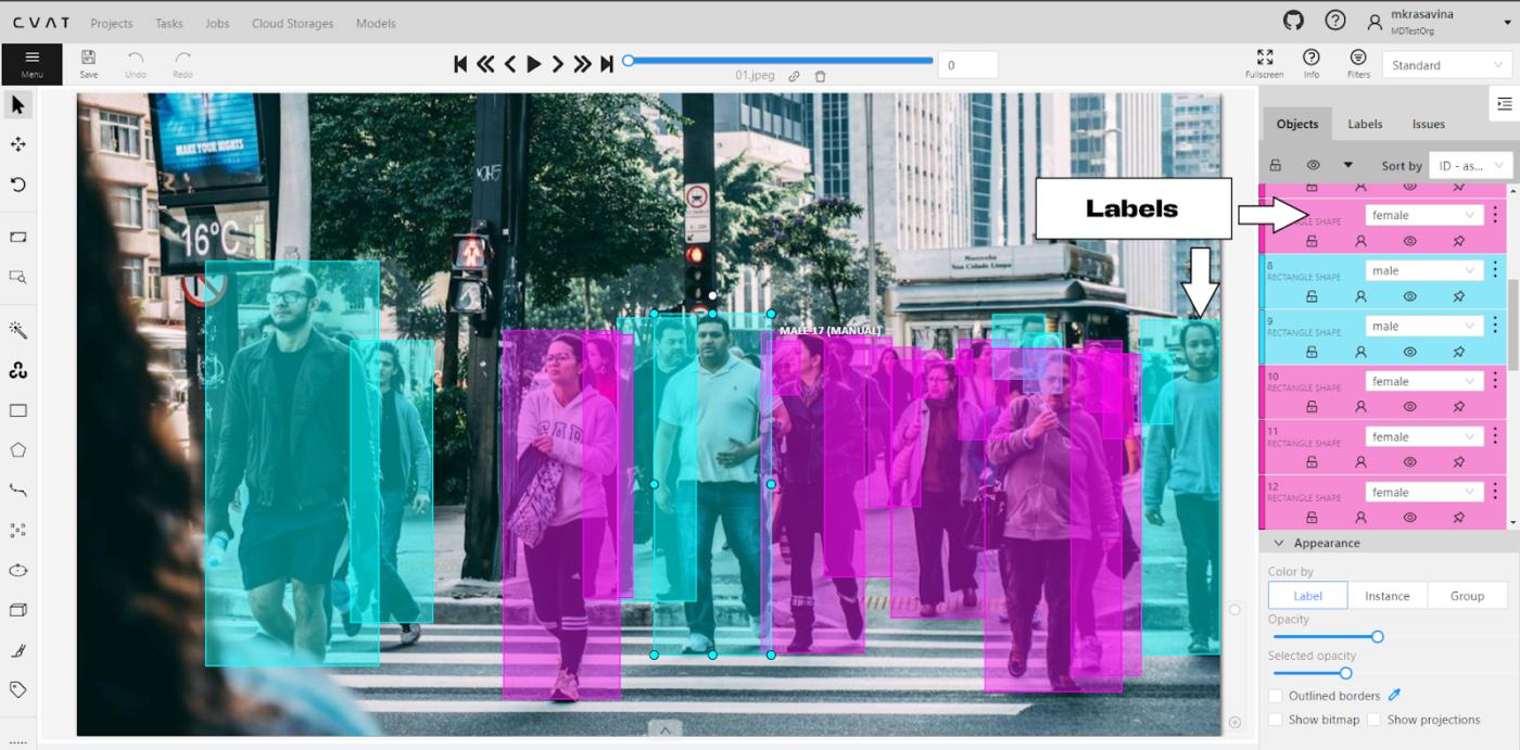 Image Annotation Software: CVAT 