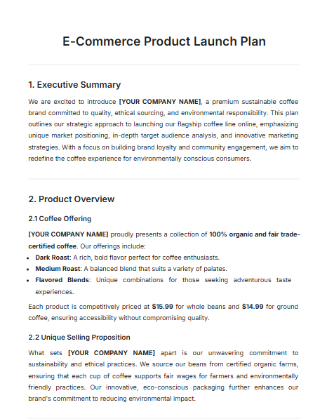 Modelo de plano de lançamento de produto para comércio eletrônico da Template.net