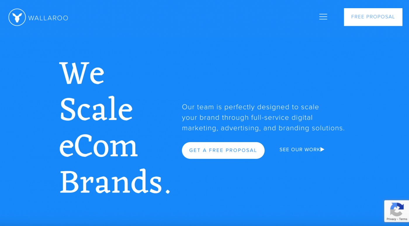 Wallaroo Media: Growth Marketing Agencies