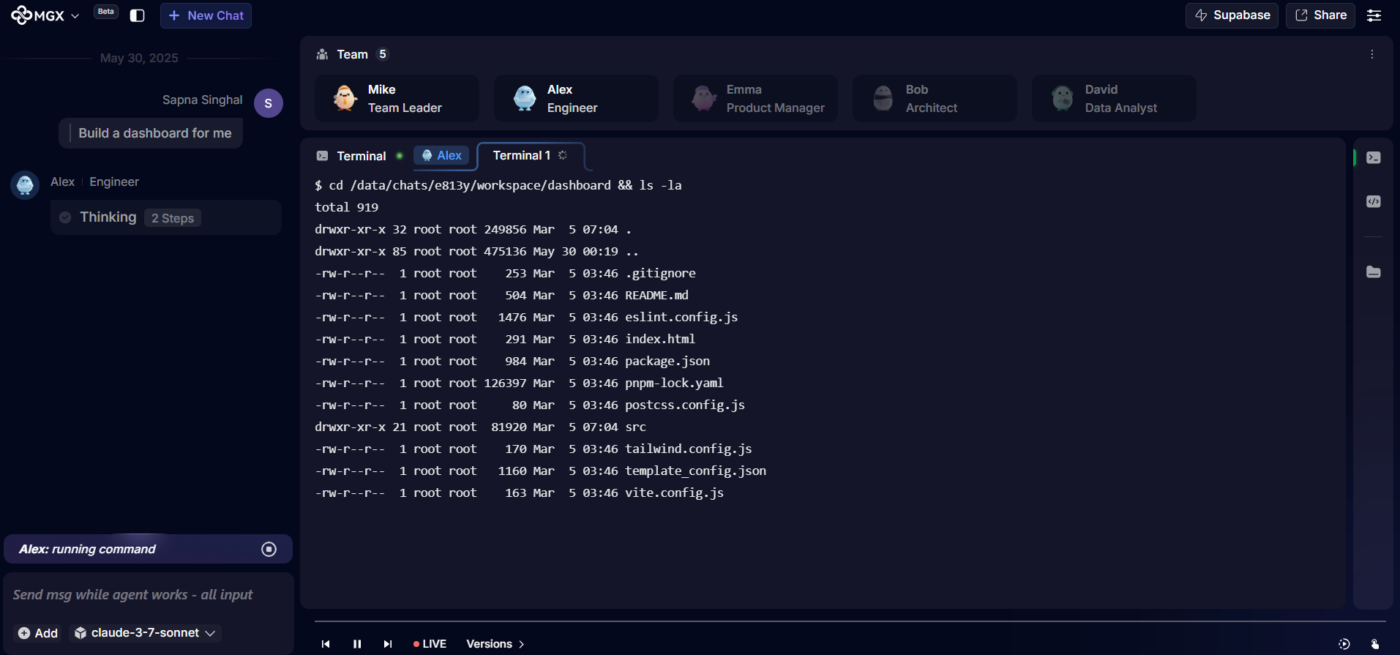 MetaGPT Dashboard: devin ai alternative