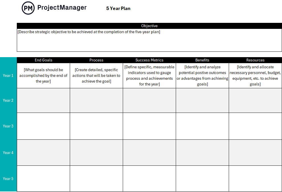 5 Year Business Plan Template: Excel 5-Year Plan Template by Project Manager
