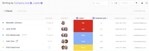 Campos personalizados do ClickUp: como coletar feedback dos clientes