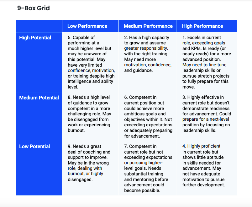 PDF 9 Box Grid Talent Review Template
