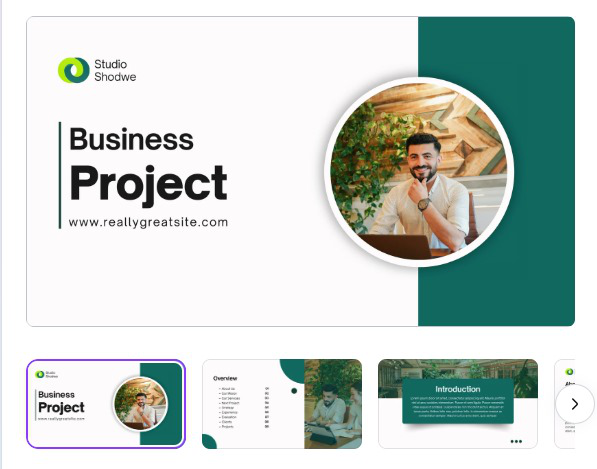 Business Project Presentation Outline template by Canva