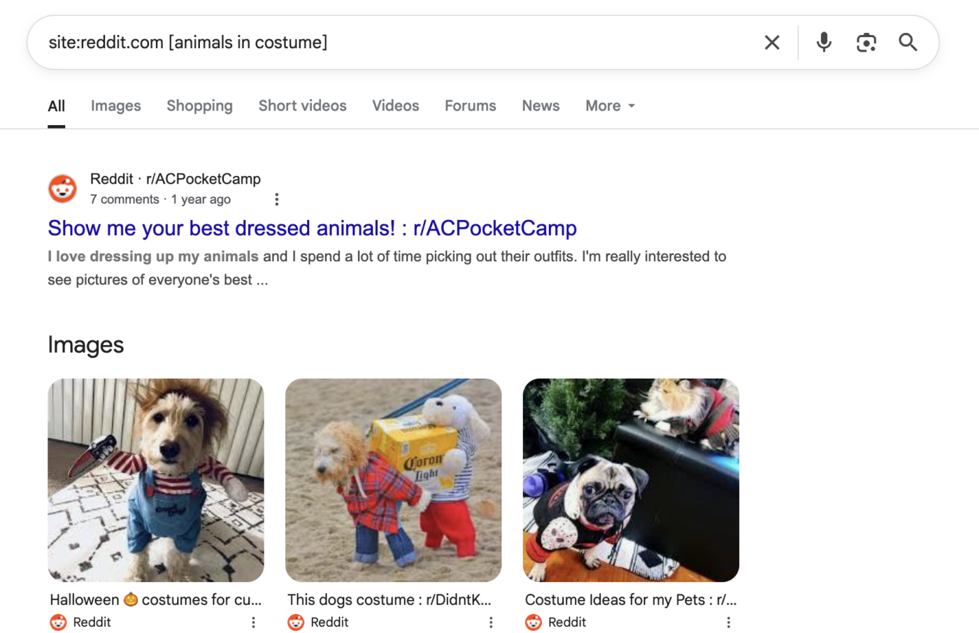 So verwenden Sie die Google-Website-Suche, um auf Reddit nach Ihrer Marke zu suchen. So nutzen Sie Reddit für Ihr Marketing