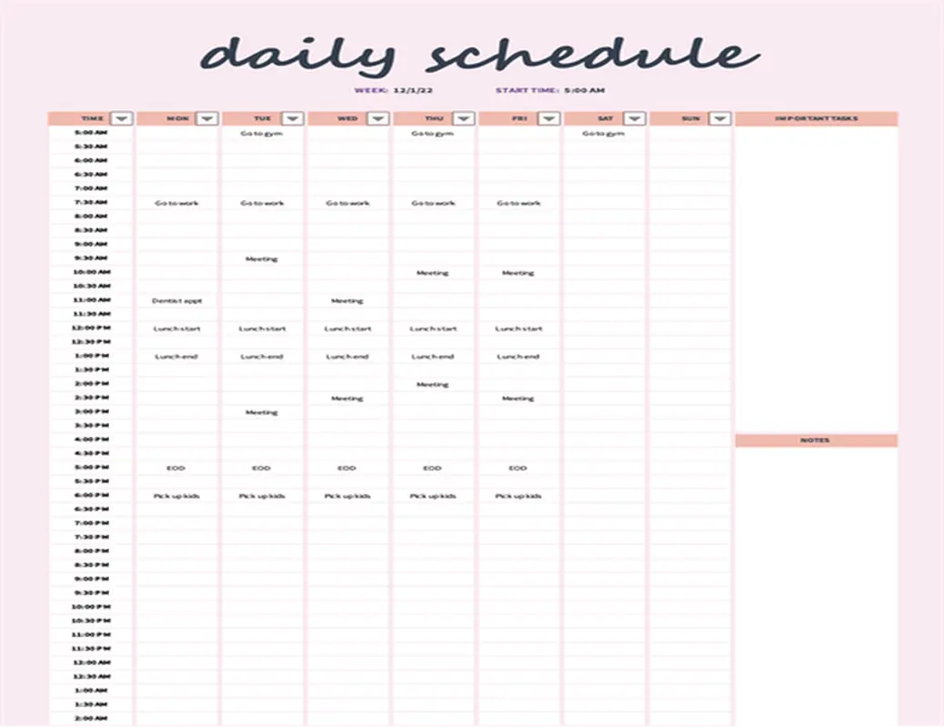 Excel Daily Schedule Template by Microsoft