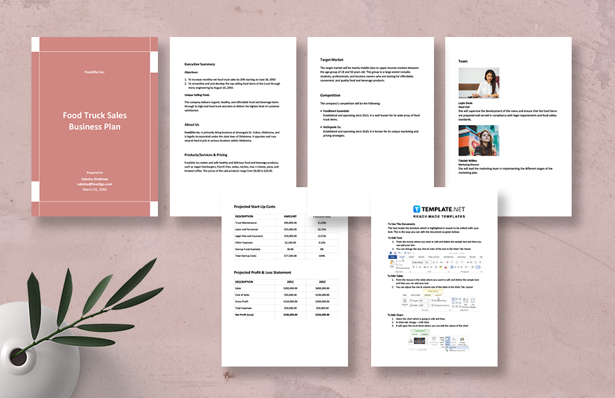 Food Truck Sales Business Plan Template