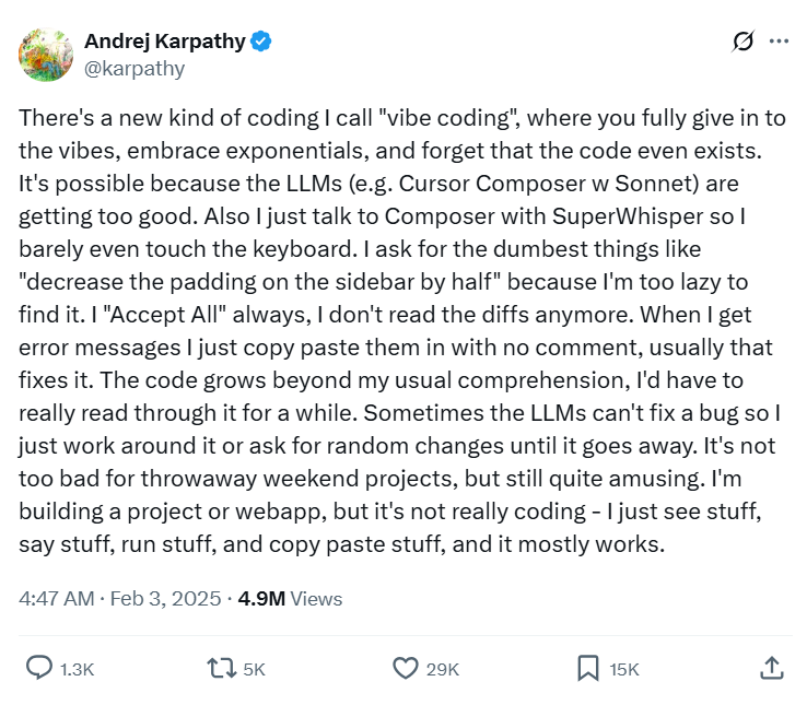 Andrej Karpathy Quote on vibe coding