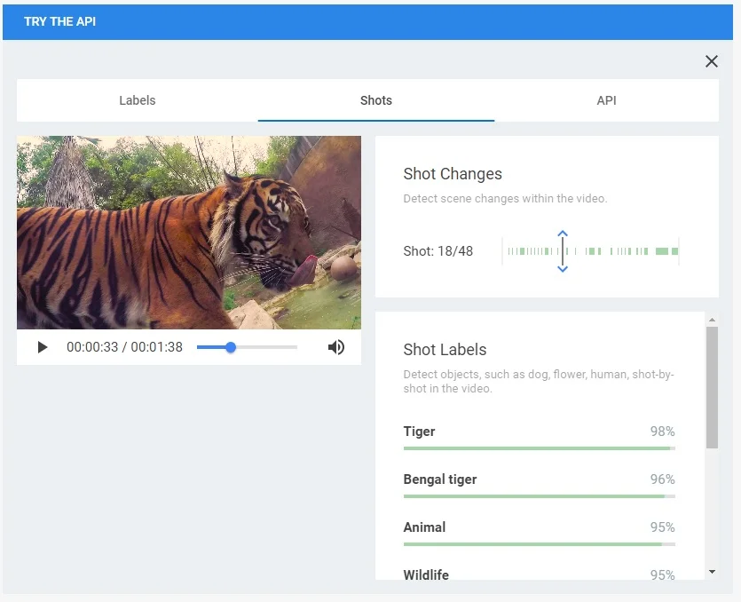 Google Cloud Video Intelligence - analizzatore video IA