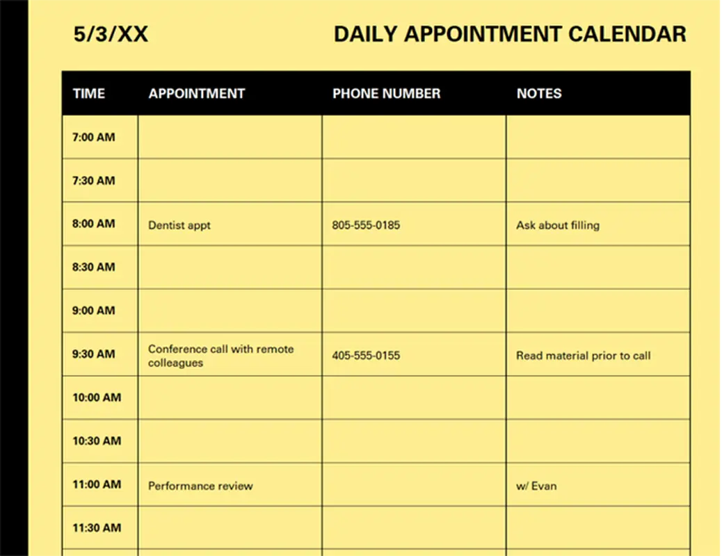 Daily Appointment Calendar Template by Microsoft