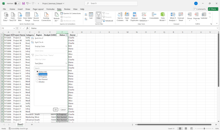 How to Create a Summary Report in Excel for Project Data