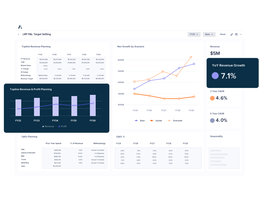 Anaplan: project cost management software