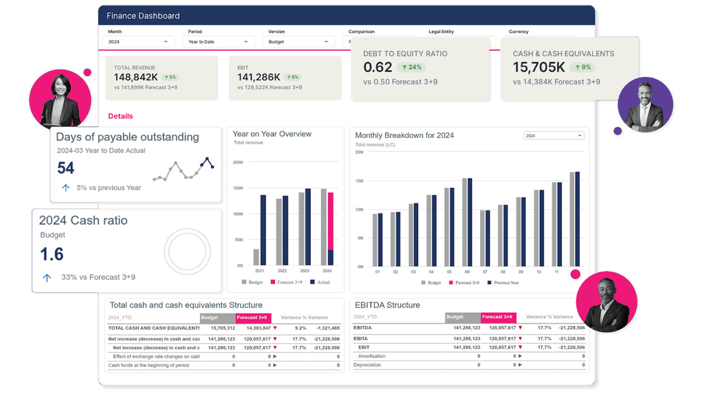 Jedox: project cost management software