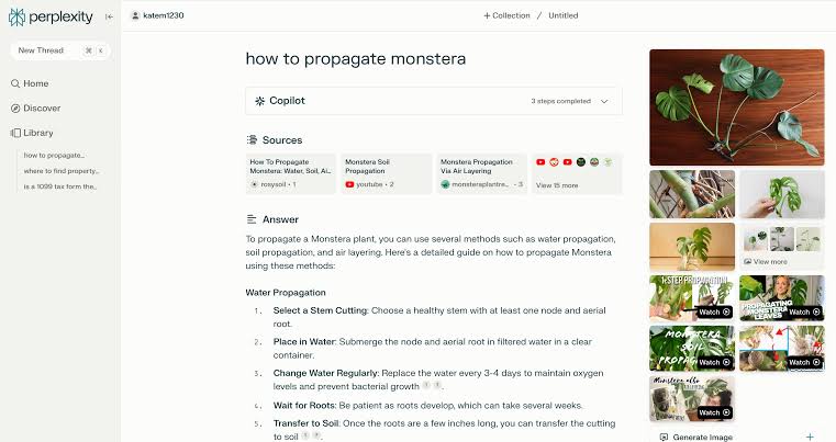 Perplexity AI: AI applications that goes through web pages for information