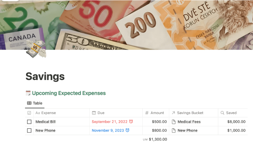 Notion Savings Template: notion budget templates