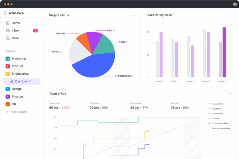 ClickUp dashboard showing project status, team performance, and task progress analytics.