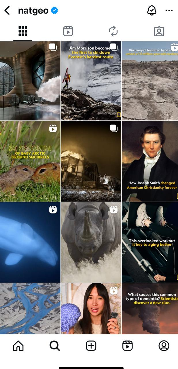 National Geographic Instagram: Brand Recognition