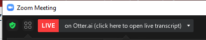 Step 5 Automatically start live transcription in Zoom- How to Use Otter AI with Zoom