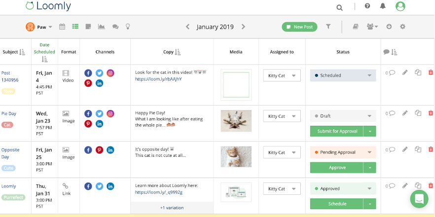 Loomly dashboard : Sendible Alternatives