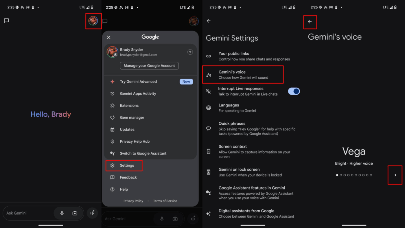 gemini voice settings: How to Use Gemini Voice to Text