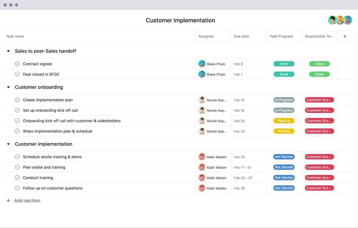 Customer Implementation Template by Asana