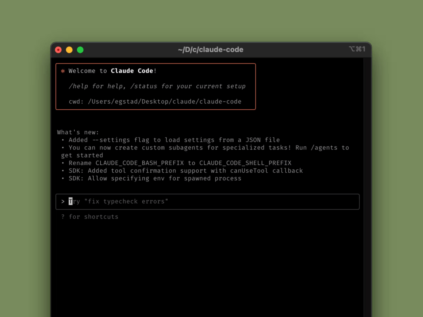 How to Build an AI Agent with Claude: Claude Code