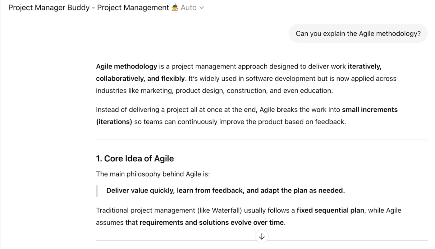 Project Manager Buddy