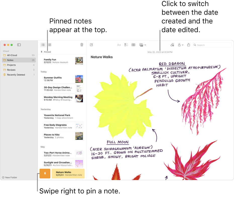 via Apple Notes: An Evernote alternative for Apple users