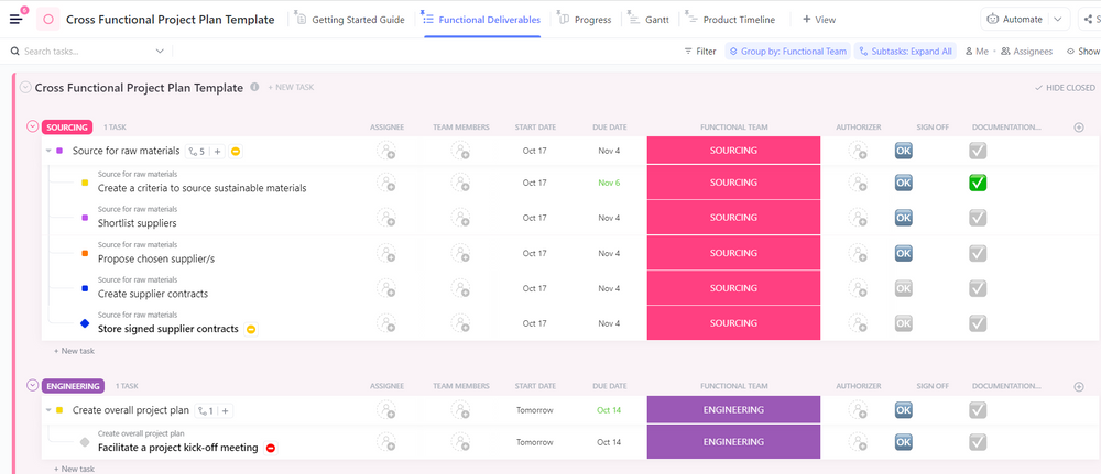 Cross Functional Project Plan | Template by ClickUp™
