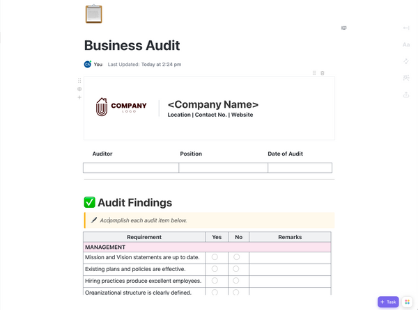 Business Audit Doc 